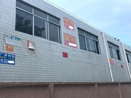 東莞高廠租之困 二房東坐地起價 企業到哪炒房到哪